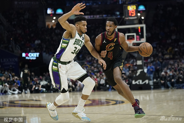 了广大羽毛 了广大羽毛